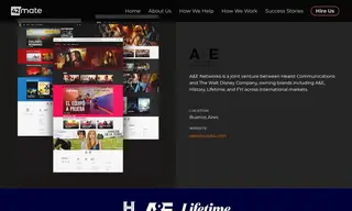 Preview of the A&E Networks Latin America Case Study