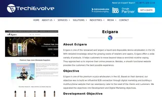 Preview of the Ecigara Case Study