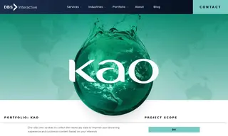 Preview of the Kao Collins Case Study