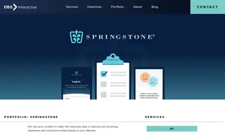 Preview of the Springstone Case Study