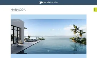 Preview of the Habacoa Case Study