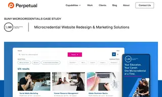 Preview of the SUNY Microcredentials Case Study