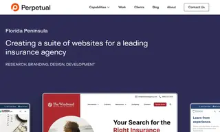 Preview of the Florida Peninsula Case Study