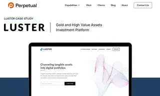 Preview of the Luster Case Study