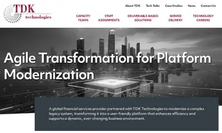 Preview of the Global Financial Services Provider Case Study