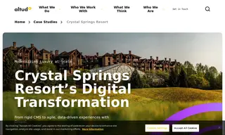 Preview of the Crystal Springs Resort Case Study