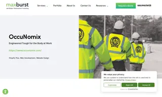 Preview of the OccuNomix Case Study