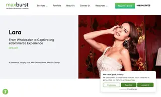 Preview of the Lara Case Study