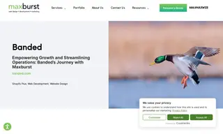 Preview of the Banded Case Study
