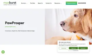 Preview of the PawProsper Case Study