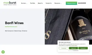 Preview of the Banfi Case Study