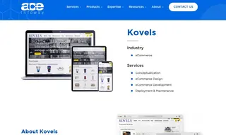 Preview of the Kovels Case Study