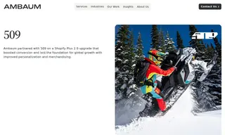 Preview of the 509 Case Study