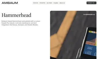 Preview of the Hammerhead Case Study