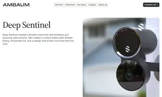 Preview of the Deep Sentinel Case Study
