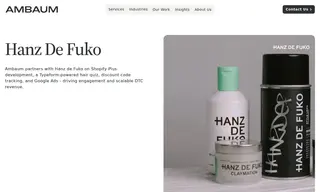Preview of the Hanz de Fuko Case Study