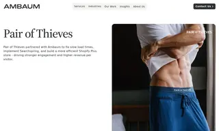 Preview of the Pair of Thieves Case Study