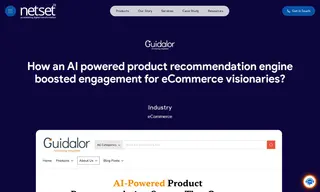 Preview of the Guidalor LLC Case Study