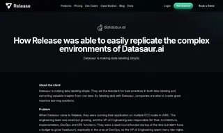 Preview of the Datasaur Case Study