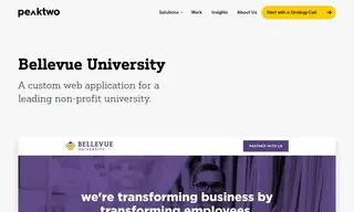 Preview of the Bellevue University Case Study