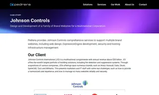 Preview of the Johnson Controls Case Study