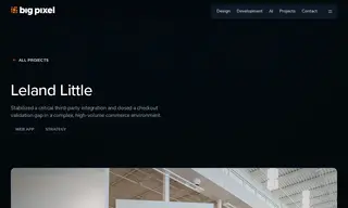 Preview of the Leland Little Case Study