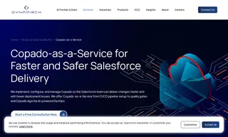 Preview of the Salesforce Case Study