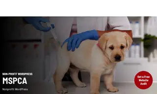 Preview of the MSPCA-Angell Case Study