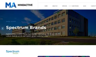 Preview of the Spectrum Brands Case Study