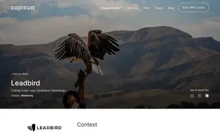 Preview of the Leadbird Case Study