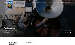 Preview of the Bellwether Case Study