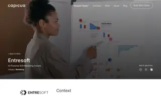 Preview of the Entresoft Case Study