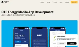 Preview of the DTE Energy Case Study