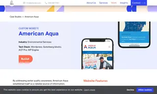 Preview of the American Aqua Case Study