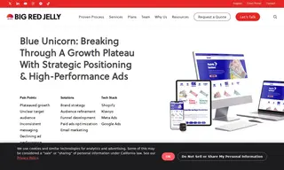 Preview of the Blue Unicorn Case Study