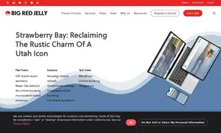 Preview of the Strawberry Bay Case Study