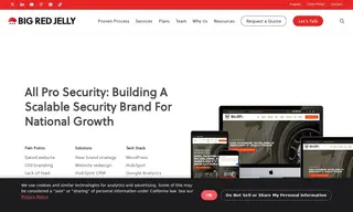Preview of the All Pro Security Case Study
