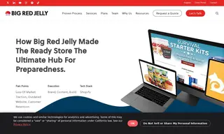 Preview of the The Ready Store Case Study