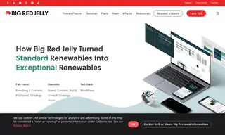 Preview of the Standard Renewables Case Study