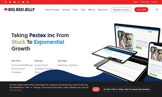 Preview of the Pestex Inc Case Study