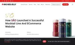 Preview of the SAO Case Study