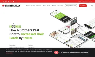 Preview of the 6 Brothers Pest Control Case Study