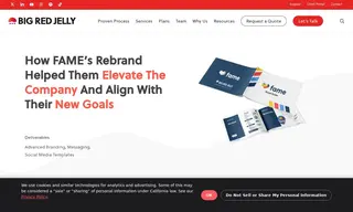 Preview of the Fame Case Study