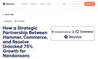 Preview of the Nandansons International, Inc Case Study