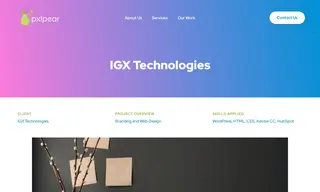 Preview of the IGX Technologies Case Study