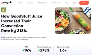Preview of the GoodStuff Juice Case Study