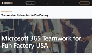 Preview of the Fun Factory Case Study