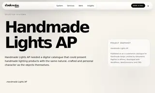 Preview of the Handmade Lights AP Case Study