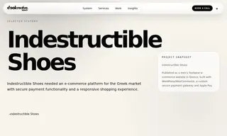 Preview of the Indestructible Shoes Case Study