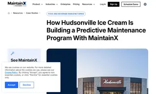 Preview of the Hudsonville Ice Cream Case Study